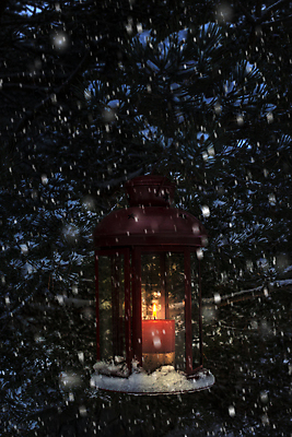 포토 JPG 해외이미지 나무 계절 백그라운드 크리스마스 겨울 촛불 창문 유리 휴가 새로움 주택 사람없음 야외 장식 빨간색 파란색 빛 우주 어둠 추위 수확 흰색 나뭇가지 등불 램프 야간 저녁 12월 서리 광 옛날 폭설 눈내림 해외202004 해외포토 자연요소 식물 기념일 컬러 컨셉 농업 초 재질 조명 눈_날씨 건물 날짜 자연재해 파일형식 이미지허브