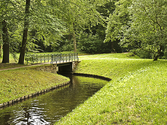 포토 JPG 해외이미지 나무 계절 공원 줄기 여행 단풍 잎 밭 자연 하늘 휴가 파노라마 풍경 사람없음 야외 초록색 물 여름 강 여행객 평화 환경 자전거 침묵 나뭇가지 시골 황금 숲 운하 해외202004 해외포토 자연요소 식물 공공시설 컬러 컨셉 농업 촬영기법 사람 바이크 소리 생태계 파일형식 이미지허브
