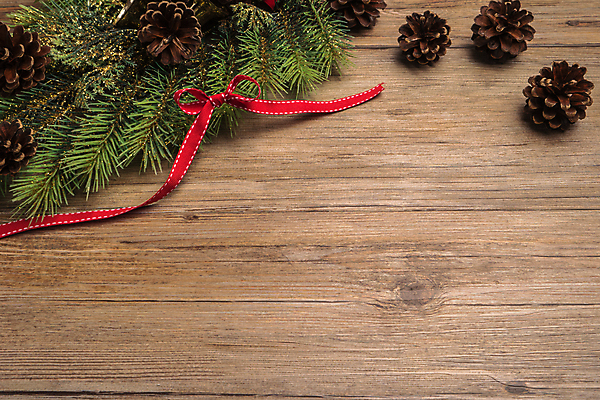 포토 JPG 해외이미지 나무 식물 전통 디자인 계절 리본 종이 음식 백그라운드 크리스마스 겨울 패턴 자연 휴가 새로움 프레임 사람없음 목재 장식 우주 축제 나뭇가지 인사 소나무 신용카드 달콤 널 12월 연도 배열 전나무 원뿔 내추럴 노엘 동물상 양피지 옛날 카피스페이스 해외202004 해외포토 도형 기념일 컨셉 무늬 재료 금융 조형물 공백 예절 날짜 맛 생태계 파일형식 이미지허브