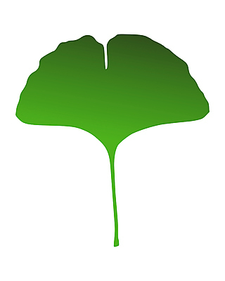 포토 JPG 해외이미지 나무 식물 실루엣 잎 일러스트 자연 건강 사람없음 초록색 허브 해외202004 해외포토 컬러 촬영기법 생태계 파일형식 이미지허브