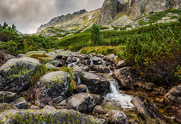 포토 JPG 해외이미지 나무 식물 구름 계절 공원 야생동물 자연 하늘 산 풍경 경사 사람없음 야외 초록색 물 여름 빛 계곡 침묵 하이킹 흐름 바위 개울 황무지 정상 땅 언덕 암초 침엽수 슬로바키아 절정 해외202004 해외포토 자연요소 동물 공공시설 유럽 컬러 컨셉 레저 강 소리 돌_바위 생태계 파일형식 이미지허브