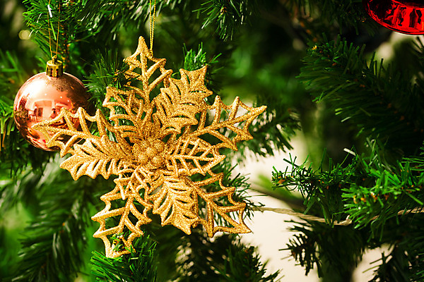 포토 JPG 해외이미지 나무 전통 디자인 계절 행복 백그라운드 크리스마스 겨울 패턴 공 유리 휴가 새로움 주택 기념 따뜻함 선물 사람없음 내부 장식 빨간색 초록색 빛 노란색 축제 화환 방 흰색 축하 소나무 황금 야간 12월 연도 벽난로 블러 해외202004 해외포토 자연요소 식물 기념일 꽃 감정 컬러 컨셉 무늬 재질 건물 날짜 파일형식 이미지허브