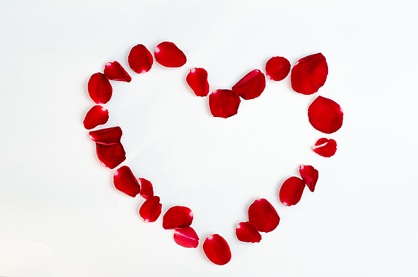 포토 JPG 해외이미지 식물 템플릿 디자인 꽃잎 꽃 분홍색 결혼 백그라운드 컨셉 잎 꽃무늬 패턴 일러스트 자연 벽지 추상 휴가 바닥 발렌타인데이 사랑 이벤트 사람없음 장식 빨간색 장미 흰색 하트 축하 신선 신용카드 그룹 떨어짐 심볼 내추럴 고립 깊이 엘리먼트 현실 해외202004 해외포토 모양 감정 컬러 무늬 데이이벤트 금융 생태계 파일형식 이미지허브