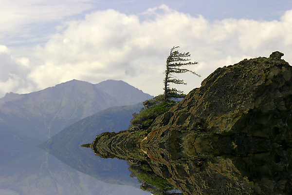 포토 JPG 해외이미지 나무 바다 섬 유리 하늘 산 이끼 사람없음 초록색 물 반사 평화 침묵 만 가문비나무 해외202004 해외포토 자연요소 식물 컬러 컨셉 재질 소리 파일형식 이미지허브