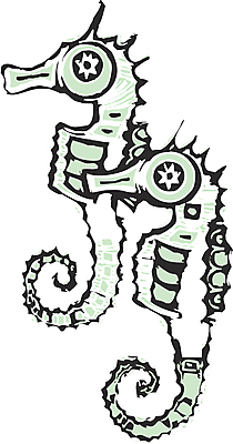 포토 JPG 해외이미지 바다 어류 사람없음 물 친구 수영 지느러미 멸종 해외202004 해외포토 자연요소 관계 수중동물 수상스포츠 파일형식 이미지허브