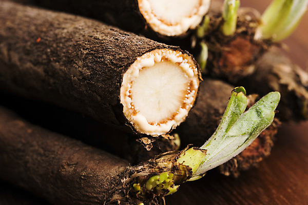 포토 JPG 해외이미지 식물 음식 백그라운드 겨울 농업 다이어트 채소 재료 가족 건강 요리 사람없음 목재 가로 초록색 빛 검은색 흰색 시골 신선 자르기 유기농 날것 뿌리 고립 채식주의자 해외202004 해외포토 나무 웰빙 계절 산업 컬러 관계 모션 채식 파일형식 이미지허브