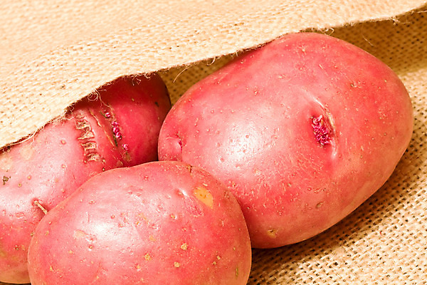 포토 JPG 해외이미지 음식 채소 가방 감자 건강 사람없음 수확 신선 시장 삼베 유기농 날것 뿌리 성분 녹말 생식 채식주의자 해외202004 해외포토 웰빙 잡화 농업 채식 파일형식 천_직물 이미지허브