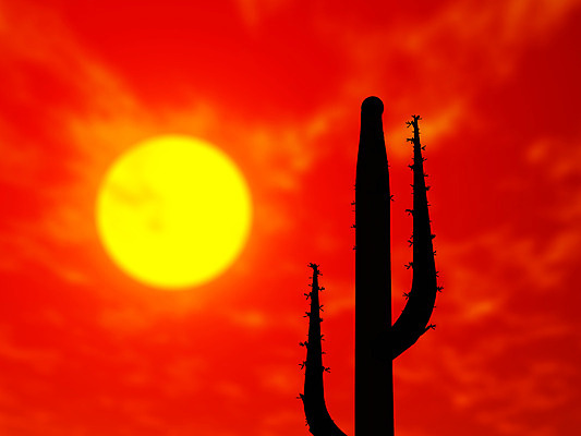 포토 JPG 해외이미지 실루엣 오렌지 하늘 선인장 풍경 사람없음 야외 빨간색 햇빛 태양 3D 일출 미국 일몰 사막 애리조나 해외202004 해외포토 자연요소 식물 컬러 북아메리카 과일 촬영기법 노을 디지털합성 파일형식 이미지허브
