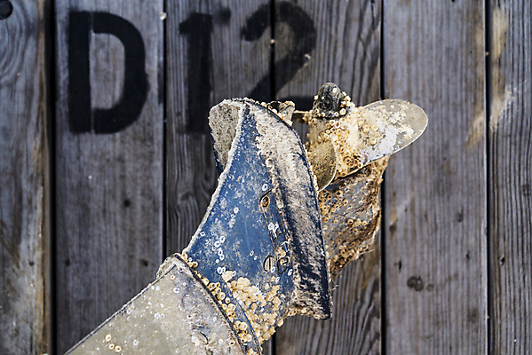 포토 JPG 해외이미지 요트 사람없음 물 반사 금속 힘 운전 에너지 화물 나사 바퀴 보트 수증기 편안함 철 묘사 프로펠러 마차 엔진 모터 그만 전진 해외202004 해외포토 자연요소 교통수단 배_교통 모션 재질 운송업 공구 감각 파일형식 이미지허브