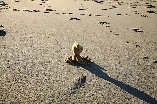 포토 JPG 해외이미지 동물 1 어린이 모래 따뜻함 그림자 앉기 사람없음 빛 장난감 햇빛 곰인형 아기 기다림 고독 그늘 발자국 왼쪽 버리기 오브젝트 싱글 부드러움 노크 마스코트 분실 인기 혼자 해외202004 해외포토 감정 인형 자국 모션 사람 태양 감각 방향 파일형식 이미지허브