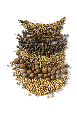 포토 JPG 해외이미지 음식 다이어트 재료 건조 종류 요리 씨앗 사람없음 주방 양념 조미료 막대기 고수 맛 유기농 질감 매움 향 후추 고립 시나몬 이국적 채식주의자 비건 해외202004 해외포토 식물 웰빙 컨셉 건강 향신료 채식 향미료 파일형식 이미지허브