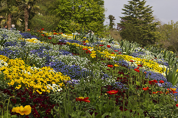 포토 JPG 해외이미지 나무 식물 디자인 계절 공원 꽃잎 꽃 분홍색 잎 패턴 밭 농업 자연 하늘 사랑 풍경 사람없음 야외 장식 빨간색 초록색 파란색 컬러풀 노란색 봄 벚꽃 시골 신선 개화 묘사 고립 수평선 해외202004 해외포토 공공시설 감정 산업 컬러 무늬 생태계 파일형식 이미지허브