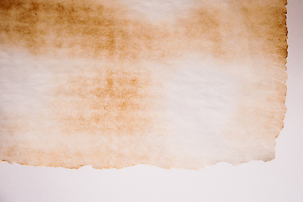 포토 JPG 해외이미지 디자인 포스터 종이 벽 백그라운드 텍스트 벽지 날씨 추상 프레임 미술 사람없음 책 쪽지 공백 수확 골동품 점 얼룩 역사 가장자리 질감 문서 복고 캔버스 먼지 페이지 찢어짐 시트 연소 고립 그런지 무료 양피지 옛날 원고 화상 노화 해외202004 해외포토 컨셉 무늬 농업 모션 문화예술 둘레 상처 파일형식 이미지허브