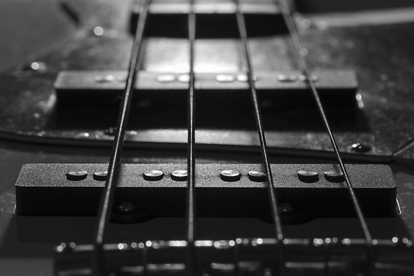 포토 JPG 해외이미지 줄 음악 사람없음 금속 검은색 흰색 기구 기타 나사 닫기 베이스 철강 해외202004 해외포토 컬러 모션 재질 현악기 문화예술 공구 파일형식 이미지허브