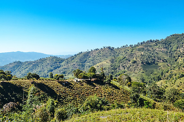 포토 JPG 해외이미지 나무 계절 공원 백그라운드 자연 하늘 산 파노라마 풍경 사람없음 야외 초록색 여름 파란색 햇빛 계곡 안개 정상 숲 언덕 장면 내추럴 해외202004 해외포토 식물 공공시설 컬러 날씨 촬영기법 태양 생태계 파일형식 이미지허브