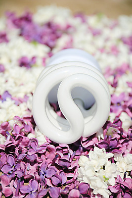 포토 JPG 해외이미지 컨셉 전구 아이디어 사람없음 초록색 빛 환경 재활용 에너지 흰색 절약 보호 에코 자원 해결 발명 생태학 해외202004 해외포토 교육 컬러 친환경 파일형식 이미지허브