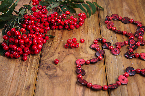 포토 JPG 해외이미지 식물 계절 열매 백그라운드 잎 과일 자연 탁자 사람없음 빨간색 가을 나뭇가지 다발 내추럴 해외202004 해외포토 나무 컬러 가구 생태계 파일형식 이미지허브