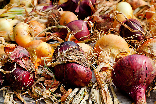 포토 JPG 해외이미지 음식 다이어트 채소 과일 양파 건강 요리 사람없음 맑음 요리사 식사 이탈리아 수확 양념 지중해 먹기 기아 생물학 향 내추럴 바이오 채식주의자 해외202004 해외포토 직업 교육 유럽 바다 농업 모션 날씨 사회이슈 채식 파일형식 이미지허브