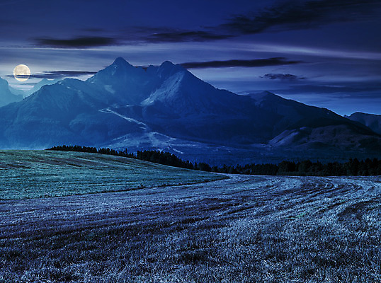 포토 JPG 해외이미지 나무 구름 계절 꽃 별 지구 밭 농업 자연 하늘 날씨 산 풍경 사람없음 야외 초록색 여름 파란색 빛 마을 환경 계곡 검은색 어둠 행성 달 시골 신선 야간 숲 가득함 언덕 공상 내추럴 슬로바키아 해외202004 해외포토 자연요소 식물 유럽 산업 컬러 우주 생태계 파일형식 이미지허브