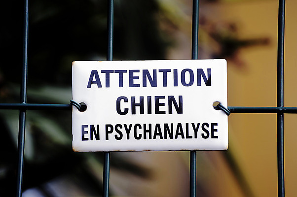 포토 JPG 해외이미지 동물 컨셉 주택 쟁반 건강 경고 안전 사람없음 흰색 유머 개 보호 장애인 판 테라피 장애 돌봄 명패 소셜 인내 치료사 해외202004 해외포토 직업 감정 컬러 포유류 모션 건물 뷰티 파일형식 이미지허브