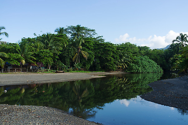 포토 JPG 해외이미지 자연 풍경 사람없음 강 반사 중앙아메리카 열대우림 코스타리카 해외202004 해외포토 아메리카 숲 생태계 파일형식 이미지허브