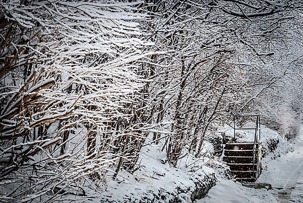포토 JPG 해외이미지 나무 계절 단풍 캐나다 겨울 자연 날씨 사람없음 야외 계단 냉동 얼음 산책로 추위 흰색 신선 황무지 숲 트랙 단계 길가 깊이 철책 해외202004 해외포토 자연요소 식물 길 컬러 잎 북아메리카 생태계 파일형식 이미지허브