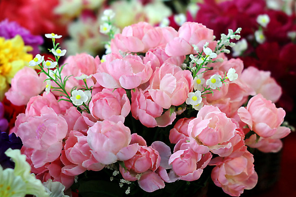 포토 JPG 해외이미지 식물 공원 꽃잎 꽃 꽃다발 백그라운드 잎 꽃무늬 밭 농업 자연 새로움 사람없음 야외 장식 초록색 여름 컬러풀 화장 정원 성장 벚꽃 나뭇가지 신선 화려 개화 허브 내추럴 인공 해외202004 해외포토 나무 계절 공공시설 산업 컬러 컨셉 무늬 뷰티 생태계 파일형식 이미지허브