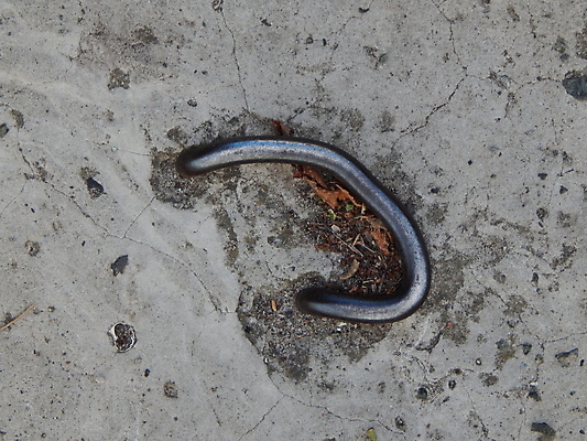 포토 JPG 해외이미지 모양 백그라운드 패턴 건축양식 거리 사람없음 건물 파란색 우주 계단 흰색 닫기 시멘트 판 옛날 콘크리트 해외202004 해외포토 건축물 건축 컬러 무늬 모션 파일형식 이미지허브