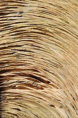 포토 JPG 해외이미지 선 백그라운드 사람없음 묘사 질감 시멘트 해외202004 해외포토 파일형식 이미지허브