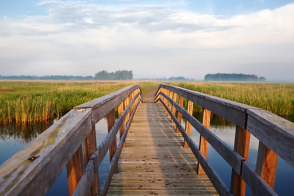 포토 JPG 해외이미지 계절 도로 길 여행 자연 하늘 아침 풍경 사람없음 야외 목재 초록색 물 여름 파란색 빛 강 햇빛 노란색 맑음 안개 시골 방향 속도 네덜란드 운하 좁은 방법 수평선 해외202004 해외포토 주간 자연요소 나무 유럽 컬러 재료 교통시설 날씨 태양 생태계 파일형식 이미지허브