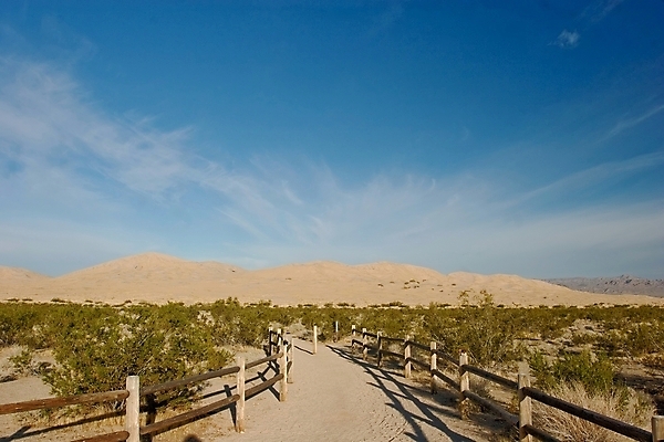 포토 JPG 해외이미지 나무 물결 모래 여행 백그라운드 자연 산 건조 따뜻함 그림자 풍경 사람없음 여름 모래사장 여행객 환경 계곡 맑음 미국 일몰 사막 뜨거움 거친 고독 큼 갈증 모래언덕 관목 질감 캘리포니아 지역 스텝 전국 해외202004 해외포토 식물 계절 감정 바다 북아메리카 날씨 사람 노을 크기 언덕 생태계 파일형식 이미지허브