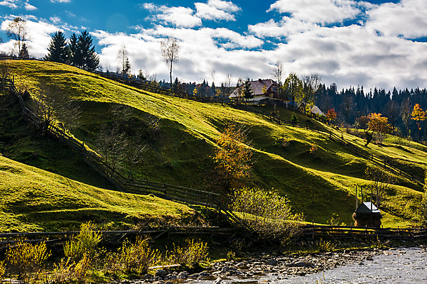 포토 JPG 해외이미지 나무 식물 농업 자연 풍경 경사 사람없음 야외 목재 울타리 마을 환경 가을 시골 가장자리 떨어짐 숲 과수원 언덕 지역 이웃 교외 삼림지대 수목 해외202004 해외포토 계절 산업 컨셉 재료 담장 둘레 생태계 파일형식 이미지허브