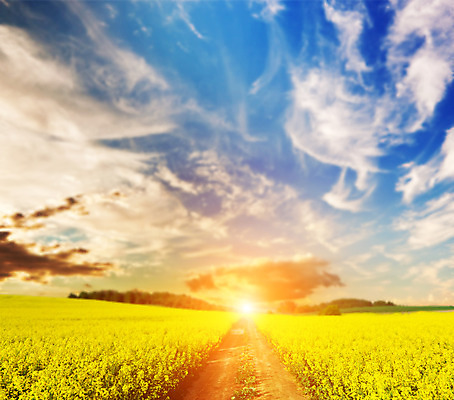 포토 JPG 해외이미지 구름 종교 길 백그라운드 컨셉 밭 자연 하늘 풍경 사람없음 여름 태양 일출 맑음 희망 일몰 봄 시골 보케 내추럴 방법 해외202004 해외포토 자연요소 계절 감정 농업 날씨 노을 생태계 파일형식 이미지허브