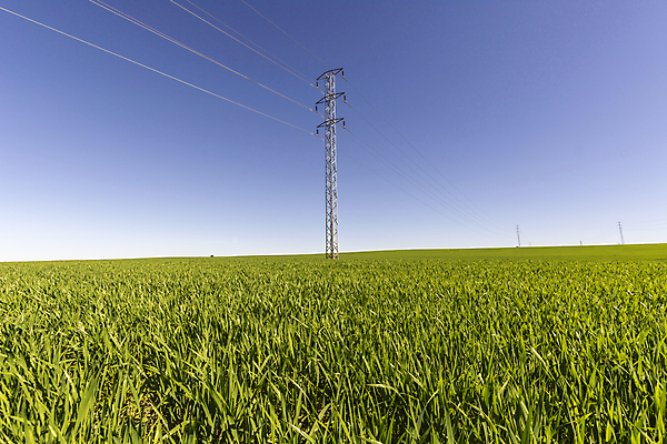 포토 JPG 해외이미지 산업 선 컨셉 밭 통신 하늘 사람없음 야외 초록색 파란색 탑 금속 힘 에너지 기둥 네트워크 역 위험 전염 철사 볼트 봉 지휘자 긴장 공학 변압기 분배 전압 철강 공급 해외202004 해외포토 건축물 교육 건축 감정 컬러 농업 교통시설 재질 음악가 공구 질병 감염 파일형식 이미지허브