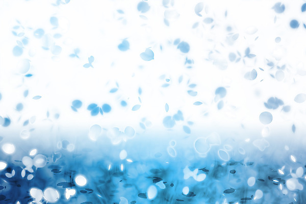 JPG 해외이미지 꽃잎 꽃 백그라운드 일러스트 사람없음 파란색 그라데이션 카피스페이스 해외202004 해외일러스트 식물 컬러 공백 파일형식 이미지허브