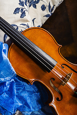 포토 JPG 해외이미지 유럽 문화 줄 음악 곡선 오렌지 미술 사람없음 목재 빨간색 어둠 침묵 수확 기구 도구 역사 닫기 바이올린 활 복고 뮤지컬 비올라 옛날 해외202004 해외포토 나무 나라 선 컬러 농업 과일 재료 모션 현악기 문화예술 소리 파일형식 찰현악기 이미지허브