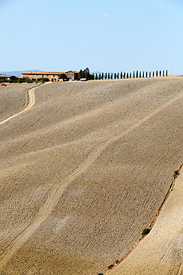 포토 JPG 해외이미지 나무 선 패턴 밭 농업 자연 건조 풍경 사람없음 여름 평화 환경 고요 이탈리아 사막 달력 성장 가을 시골 만취 언덕 부식 그림 포도밭 장면 시에나 토스카나 해외202004 해외포토 식물 계절 유럽 산업 컨셉 무늬 생태계 술취함 파일형식 이미지허브