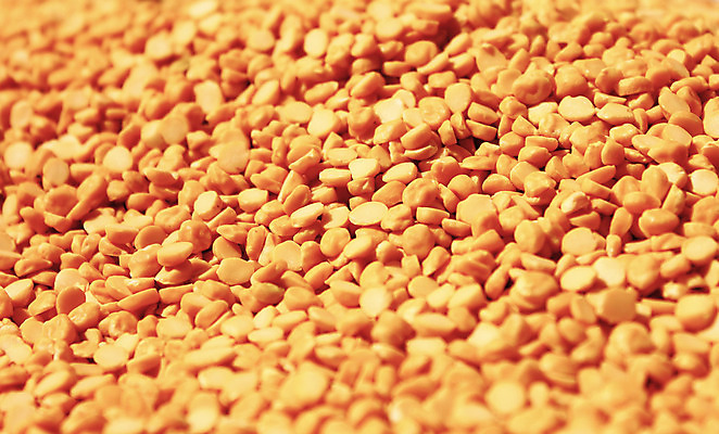 포토 JPG 해외이미지 식물 음식 패턴 농업 재료 자연 호박 해바라기 건조 세포 요리 씨앗 사람없음 농작물 노란색 상품 낟알 시리얼 밀 수집 유기농 질감 완두콩 알맹이 날것 보리 땅콩 모음 흙더미 내추럴 수수 채식주의자 호밀 많음 귀리 해외202004 해외포토 웰빙 꽃 산업 컬러 컨셉 무늬 채소 콩 곡류 흙 견과류 생태계 채식 파일형식 더미 이미지허브