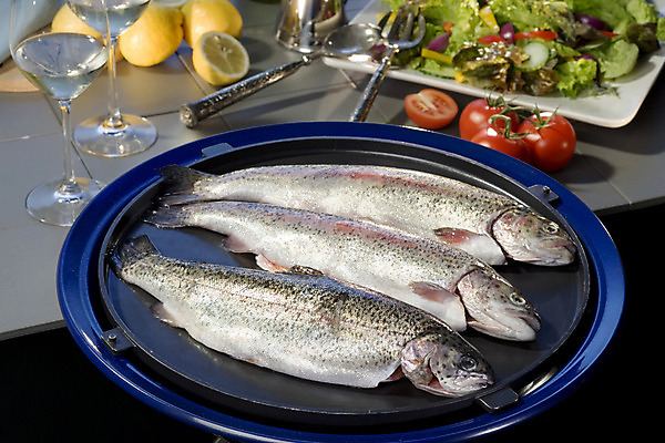 포토 JPG 해외이미지 동물 음식 바다 백그라운드 재료 건강 어류 요리 사람없음 목재 가로 식사 저녁식사 신선 맛 정상 바비큐 지중해 레몬 허브 해산물 향신료 날것 도미 소금 후추 로즈메리 점심식사 생식 해외202004 해외포토 나무 식물 컨셉 과일 수중동물 향미료 파일형식 이미지허브