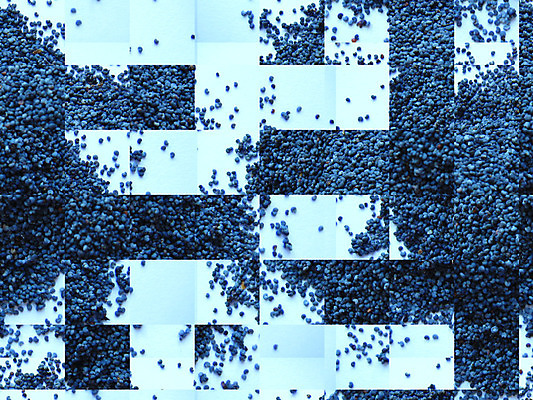 포토 JPG 해외이미지 모양 나무 디자인 조각 백그라운드 패턴 곡선 인터넷 일러스트 모션 벽지 추상 미래 창조 미술 씨앗 사람없음 그래픽 파란색 컴퓨터 활발 행성 에너지 파편 작음 낟알 만족 부식 그림 질감 합성 양귀비 땅바닥 엘리먼트 옛날 효과 부족함 해외202004 해외포토 식물 꽃 감정 선 컬러 컨셉 무늬 문화예술 바닥 전자제품 우주 크기 파일형식 이미지허브