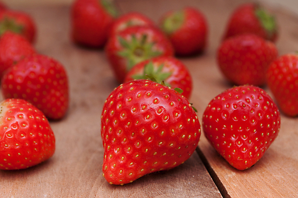 포토 JPG 해외이미지 열매 음식 백그라운드 과일 딸기 건강 사람없음 목재 빨간색 시골 신선 맛 유기농 숙성 해외202004 해외포토 나무 식물 웰빙 컬러 컨셉 재료 파일형식 이미지허브