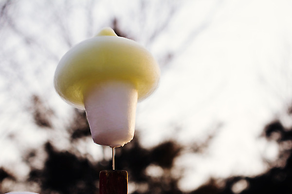 포토 JPG 해외이미지 구름 공원 어린이 음식 분홍색 백그라운드 패턴 디저트 거리 사탕 사람없음 파란색 빛 식당 축제 기계 대접 잡기 면 막대기 닫기 달콤 맛 설탕 묘사 질감 퍼프 부드러움 솜털 공평 해외202004 해외포토 자연요소 공공시설 컬러 컨셉 무늬 모션 사람 상점 감각 파일형식 이미지허브