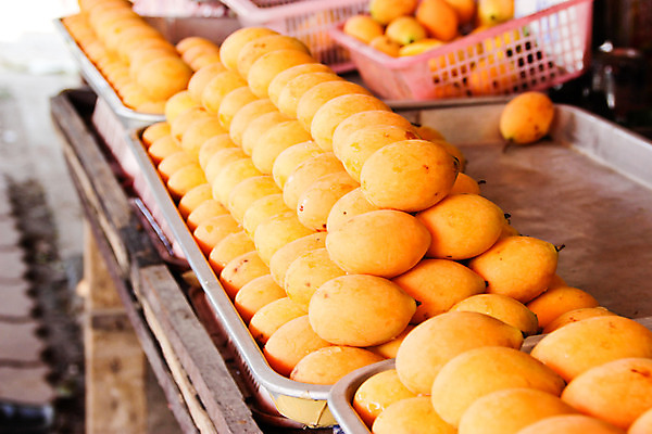 포토 JPG 해외이미지 잡화 아시아 음식 여행 태국 건강 요리 동양인 사람없음 초록색 여름 컬러풀 노란색 세일 상점 흰색 신선 시장 닫기 달콤 맛 다발 먹기 유기농 복숭아 자두 고립 매각 살구 영양소 이국적 해외202004 해외포토 웰빙 계절 나라 컬러 컨셉 과일 모션 인종 파일형식 이미지허브