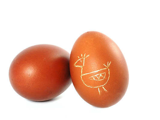 포토 JPG 해외이미지 전통 계절 꽃 문화 음식 2 휴가 부활절 사람없음 장식 계란 봄 껍질 축하 축복 아침식사 심볼 거베라 고립 삶기 취급주의 해외202004 해외포토 식물 기념일 컨셉 경고 알 식사 파일형식 이미지허브