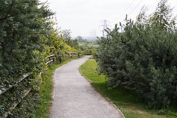 포토 JPG 해외이미지 나무 잎 건강 사람없음 여름 운동 봄 나뭇가지 시골 오솔길 그리너리 목가 해외202004 해외포토 식물 계절 길 파일형식 트랜드컬러 이미지허브