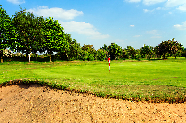 포토 JPG 해외이미지 나무 라이프스타일 디자인 행복 스포츠 여행 백그라운드 컨셉 밭 골프 비즈니스 공 놀이 성공 휴가 건강 잔디 사람없음 야외 빨간색 초록색 여름 정원 봄 장비 게임 깃발 구멍 고급 목표 강의 클럽 질감 주말 골프티 골 넣기 페어웨이 해외202004 해외포토 식물 계절 감정 컬러 농업 모션 골프용품 생활 구기 파일형식 이미지허브