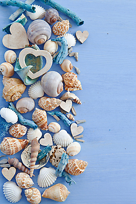 포토 JPG 해외이미지 여행 백그라운드 휴가 프레임 사랑 사람없음 목재 장식 여름 파란색 우주 수확 하트 마음 시골 해외202004 해외포토 모양 나무 계절 감정 컬러 농업 재료 파일형식 이미지허브