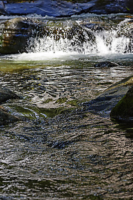 포토 JPG 해외이미지 잎 모션 자연 산 국립공원 풍경 사람없음 야외 초록색 물 강 환경 폭포 습기 흐름 바위 흰색 신선 개울 행운 떨어짐 숲 열대우림 언덕 속도 생태계 장면 브라질 내추럴 리우데자네이루 해외202004 해외포토 자연요소 식물 공원 컬러 컨셉 돌_바위 남아메리카 파일형식 이미지허브