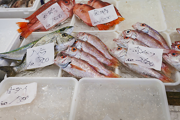 포토 JPG 해외이미지 전통 접시 잡화 음식 바다 백그라운드 패턴 다이어트 아침 낚시 거리 건강 어류 요리 사람없음 빨간색 주방 식당 일본 얼음 저녁식사 이탈리아 초밥 추위 죽음 신선 잡기 스페인 시장 은색 해산물 그리스 준비 질감 날것 낚시꾼 크로아티아 칠면조 생식 많음 해외202004 튀르키예 해외포토 주간 자연요소 식기 유럽 아시아 컬러 컨셉 무늬 모션 조류 레저 상점 식사 수중동물 일본음식 파일형식 이미지허브