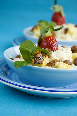 포토 JPG 해외이미지 과일 딸기 밥 디저트 사람없음 우유 달콤 맛 파인애플 코코넛 칼로리 푸딩 건포도 해외202004 해외포토 음식 컨셉 포도 유제품 열대과일 건과일 파일형식 이미지허브